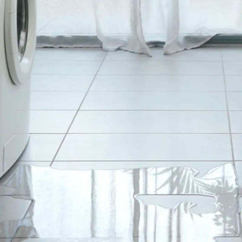 Appliance Leak Cleanup in Lauderhill, FL